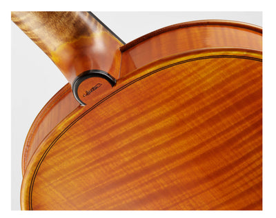 CANTONATE Violin #125F CA