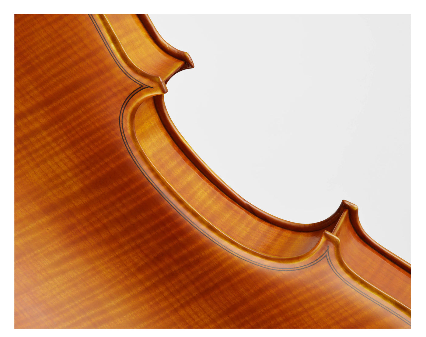 CANTONATE Violin #125F CA