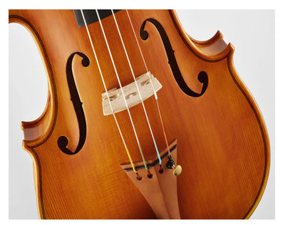 CANTONATE Violin #125F CA
