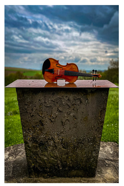 GOLDEN STATE Violin #130 GS