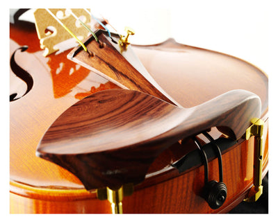 AGAPE Violin #98 AP 
