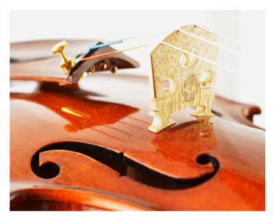 AGAPE Violin #98 AP 
