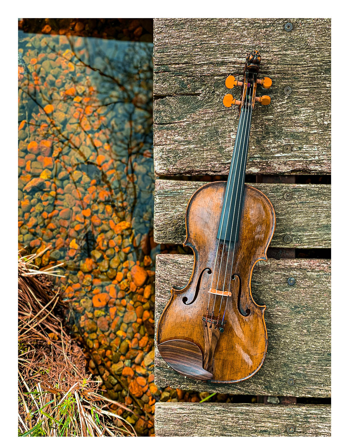 Saitenhalter Violine Palisander, ZA-5148-112/115