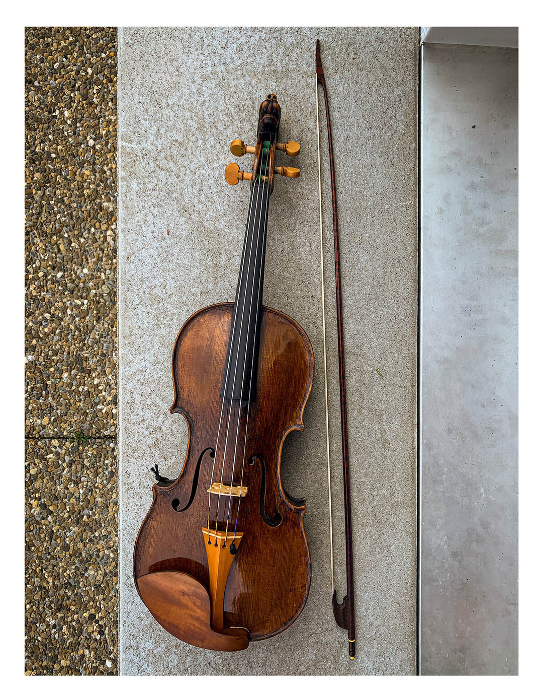Tailpiece Violin Boxwood, English Model, ZA-5294-115 – The