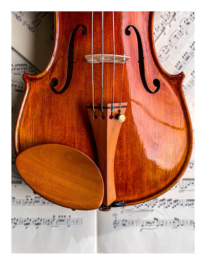 Gordon Kinnhalter Violine Buchsbaum, ZK-1572