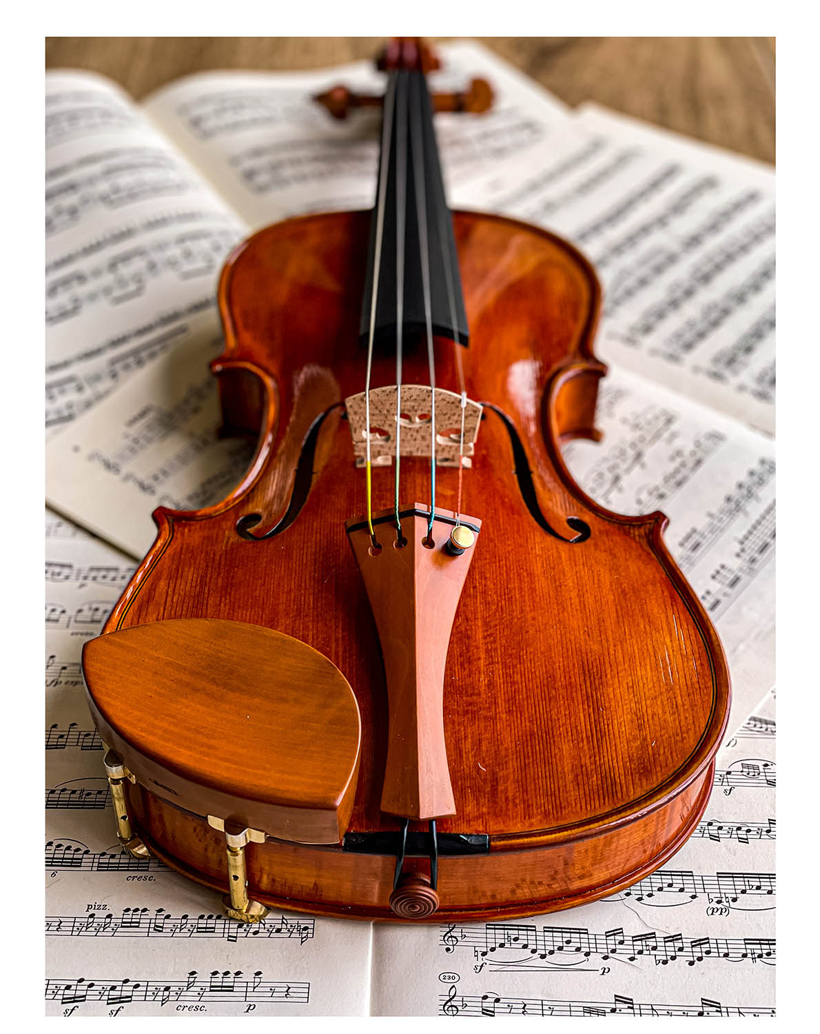 Kaufmann Chinrest Violin Boxwood, ZK-1591G