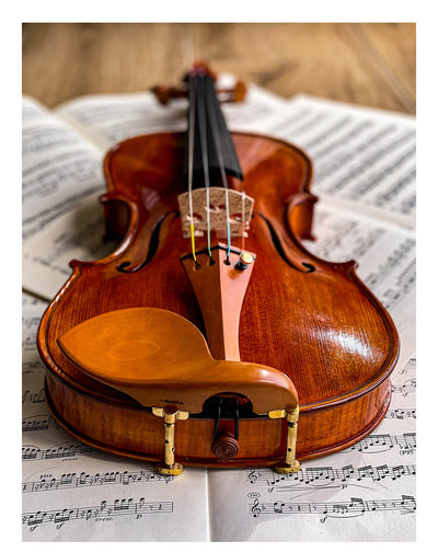 Stradivari Chinrest Violin 4/4 in Boxwood, ZK-1594G