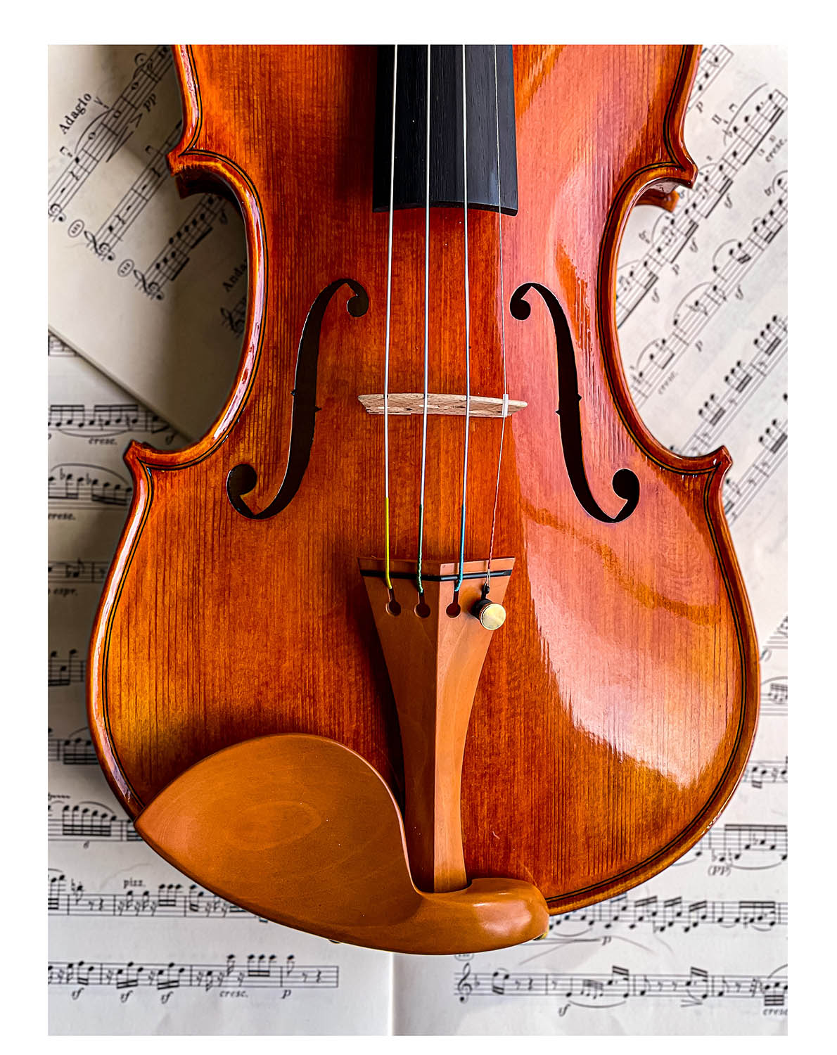 Stradivari Chinrest Violin 4/4 in Boxwood, ZK-1594G