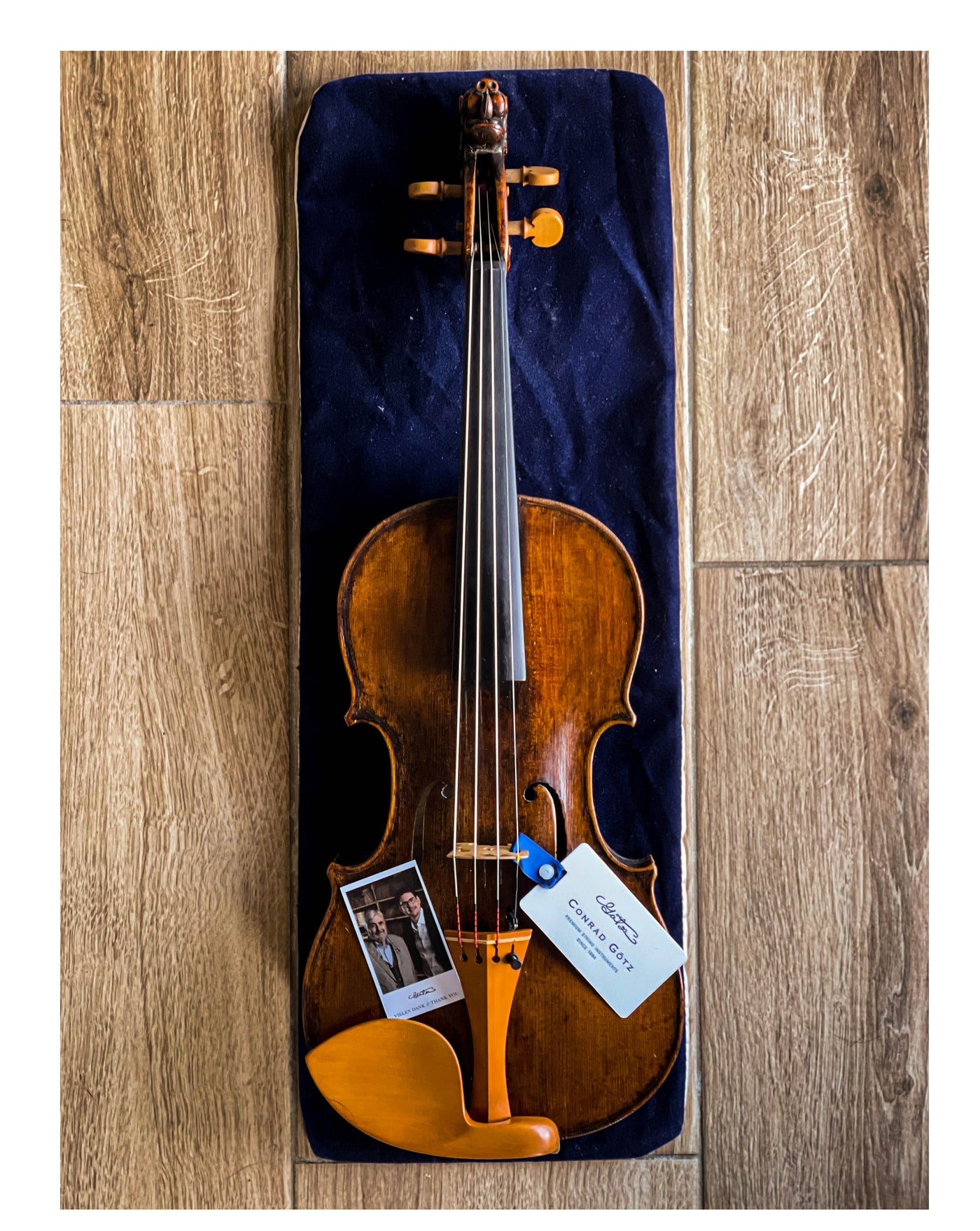 Guarneri Chinrest Violin 4/4 in Boxwood, ZK-1597G 