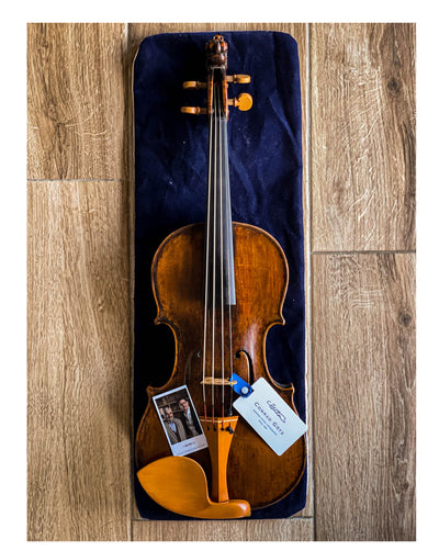 Guarneri Kinnhalter Violine Buchsbaum, ZK-1597G