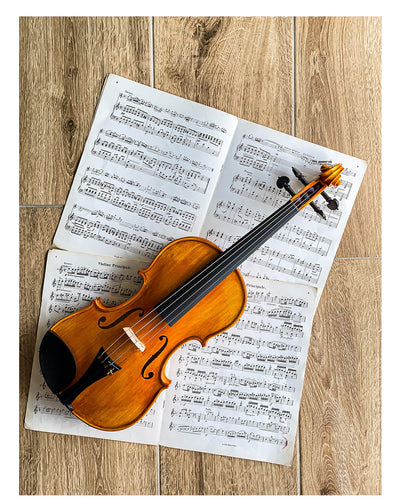 Slim Style Chinrest Violin 4/4 in Ebony, ZK-256