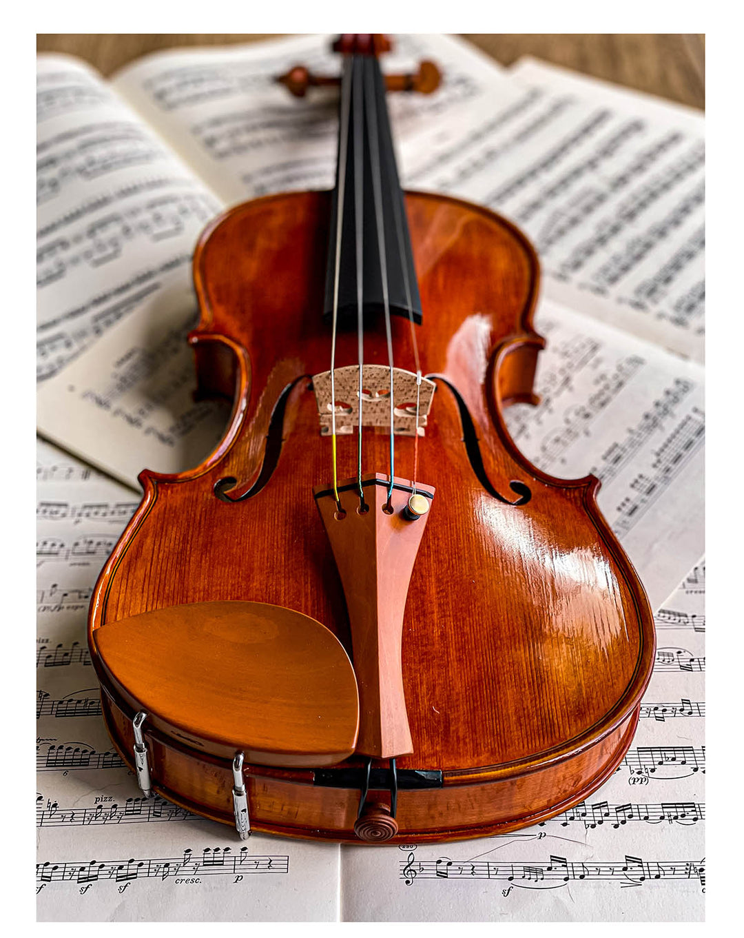 Slim Style Chinrest Violin in Boxwood, ZK-257 – The Conrad Goetz