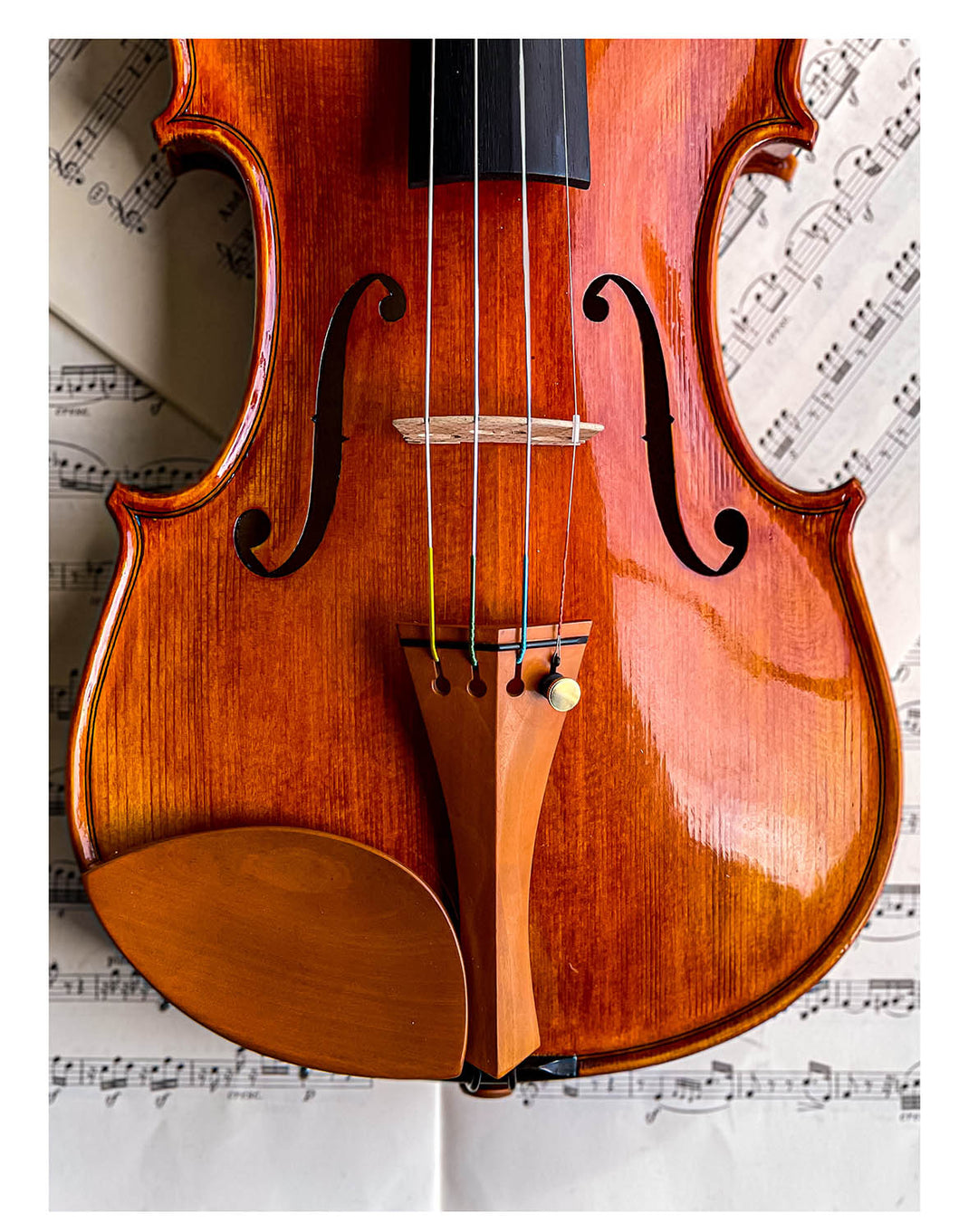 violin JanLorenz ヤン=ロレンツ 4/4 violin JanLorenz ヤン=ロレンツ 4/4 violin JanLorenz ヤン=ロレンツ