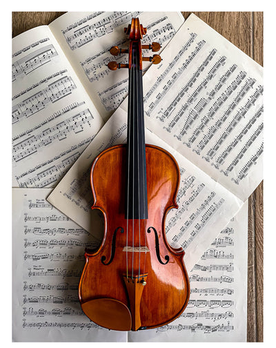 Slim Style Chinrest Violin 4/4 in Boxwood, ZK-257