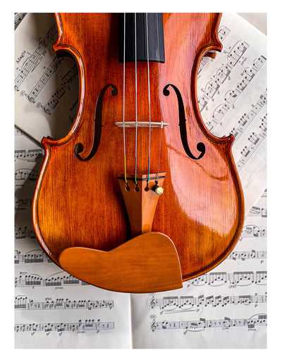 Berber Kinnhalter Violine Buchsbaum, ZK-269B