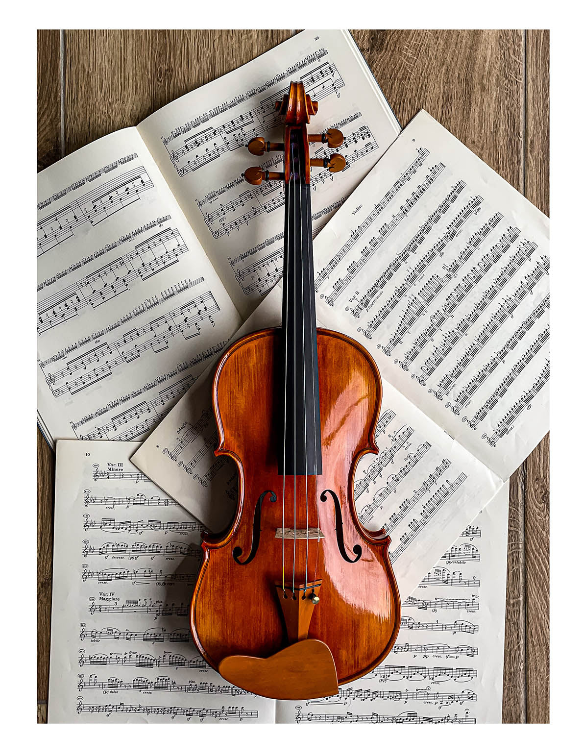 ファッション 通販 Berber Conrad The – ZK-269B Boxwood, 4/4 Violin Chinrest テント・タープ