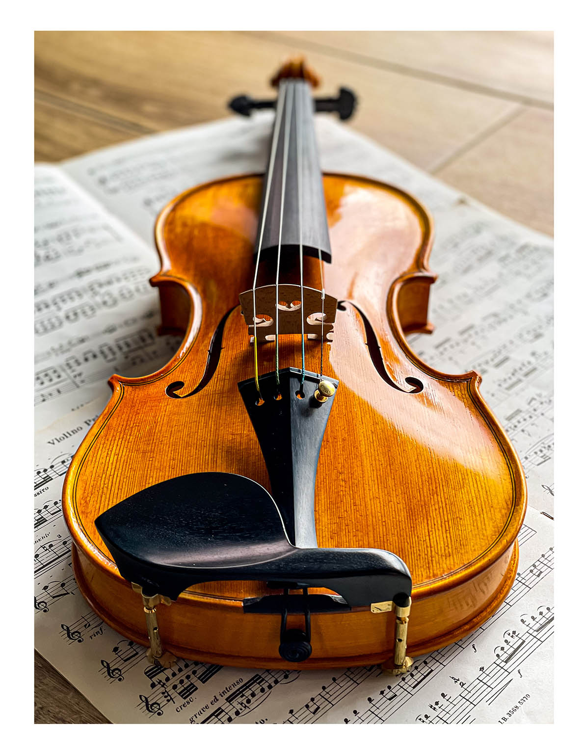 Milano Chinrest Violin 4/4 in Ebony, ZK-271G