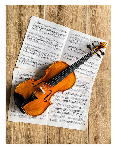 Milano Chinrest Violin 4/4 in Ebony, ZK-271G