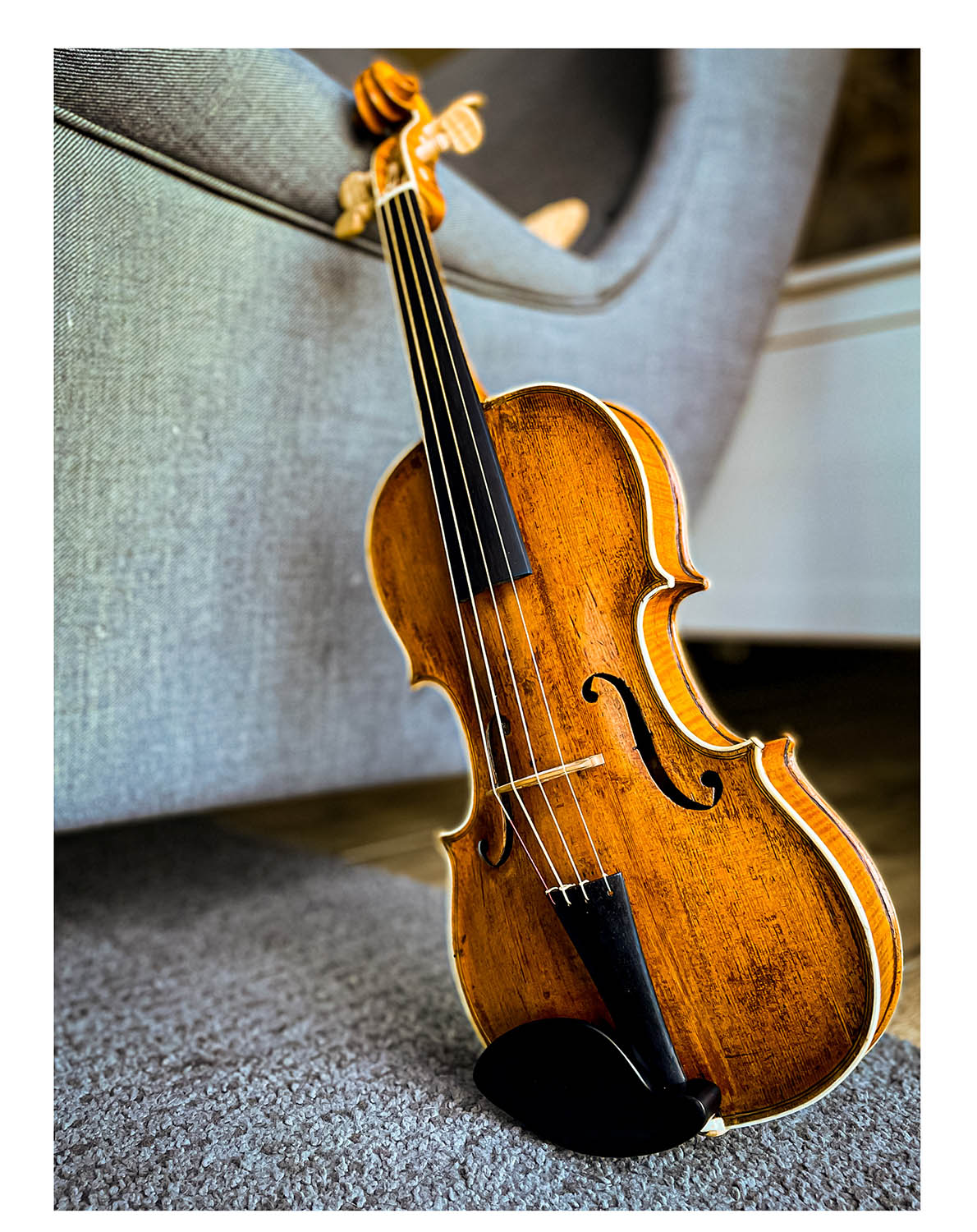 Vermeer Kinnhalter Violine 4/4 Ebenholz, ZK-281