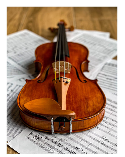 Jacob Chinrest Violin in natural Ebony/Boxwood/Rosewood, ZK-292E-NAT/ZK-292B/ZK-292R