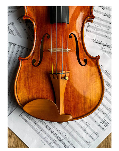 Jacob Chinrest Violin in natural Ebony/Boxwood/Rosewood, ZK-292E-NAT/ZK-292B/ZK-292R