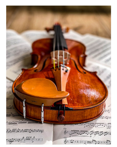 Stüber Kinnhalter Violine Buchsbaum, ZK-303