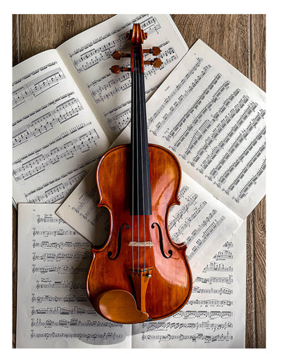 Stüber Kinnhalter Violine Buchsbaum, ZK-303