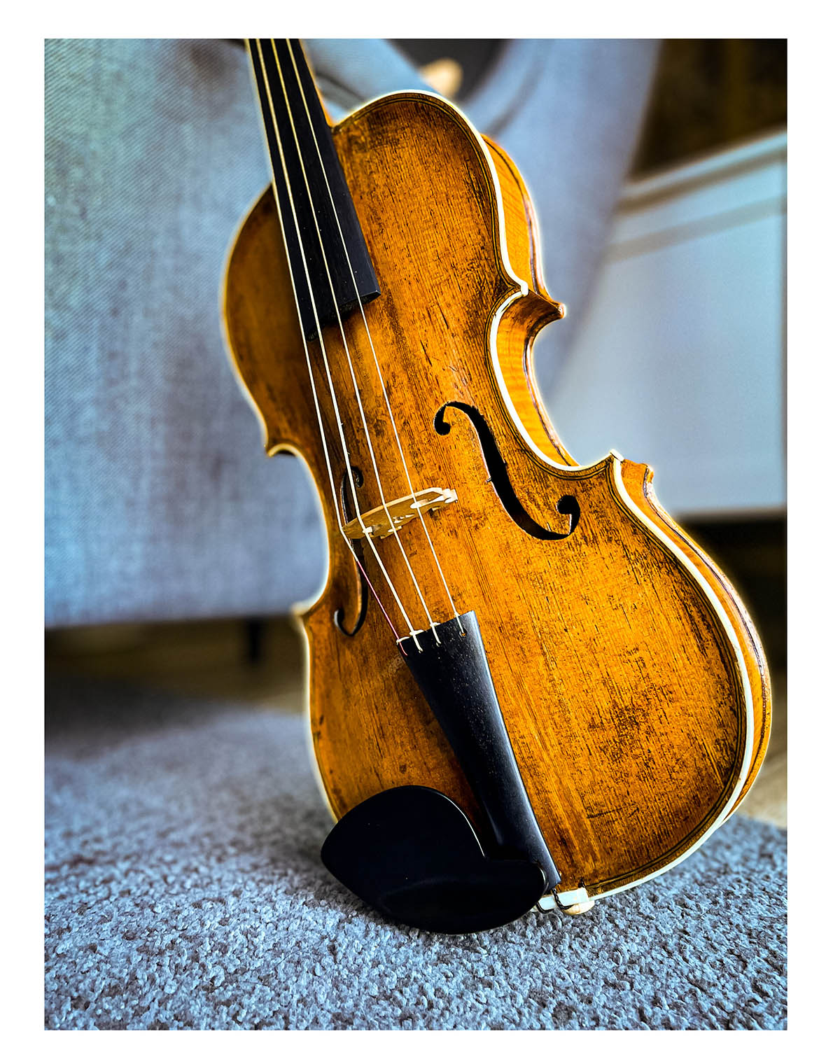 Hamburg Kinnhalter Violine Ebenholz, ZK-4253