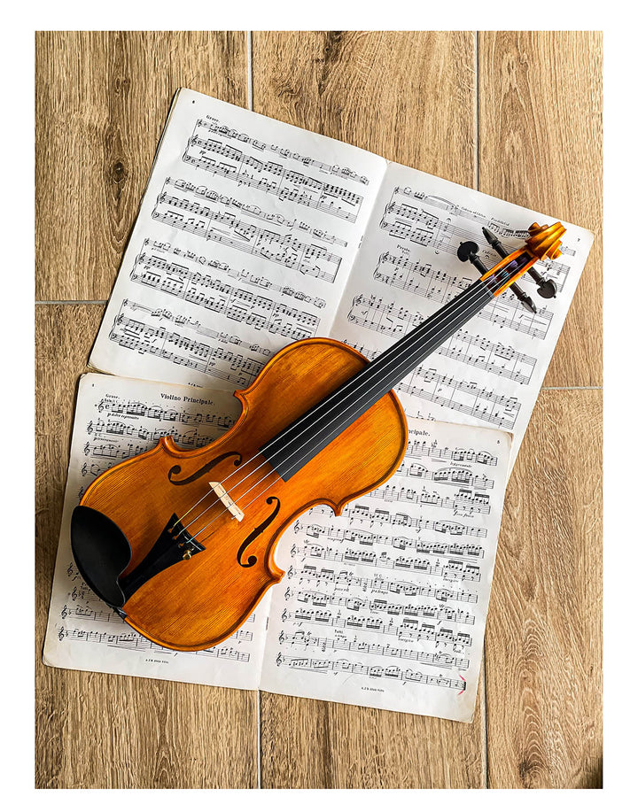 Hamburg Chinrest Violin 4/4 in Ebony, ZK-4253 – The Conrad