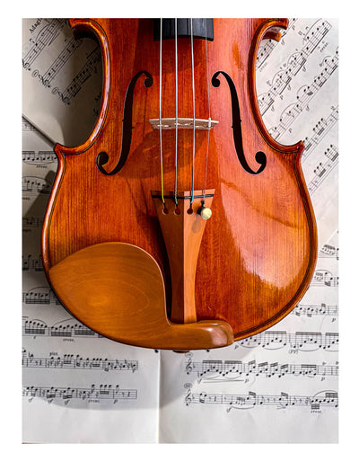 Guarneri Chinrest Violin 4/4 in Boxwood, ZK-4259