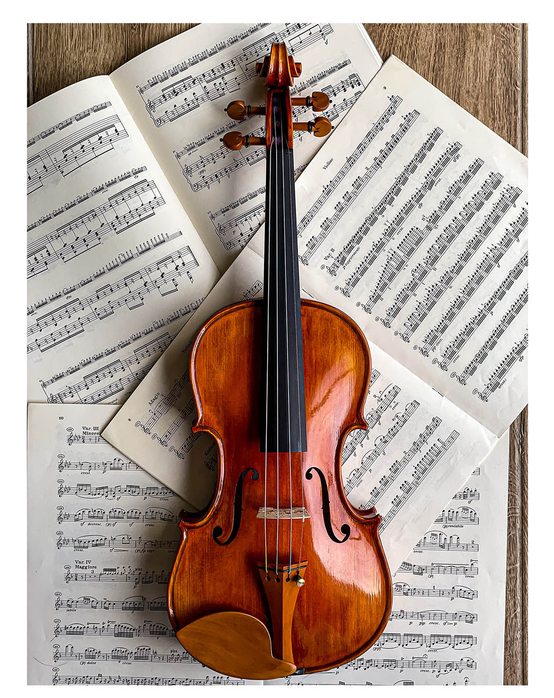 Morawetz Chinrest Violin 4/4 in Boxwood, ZK-4841B-MED – The Conrad
