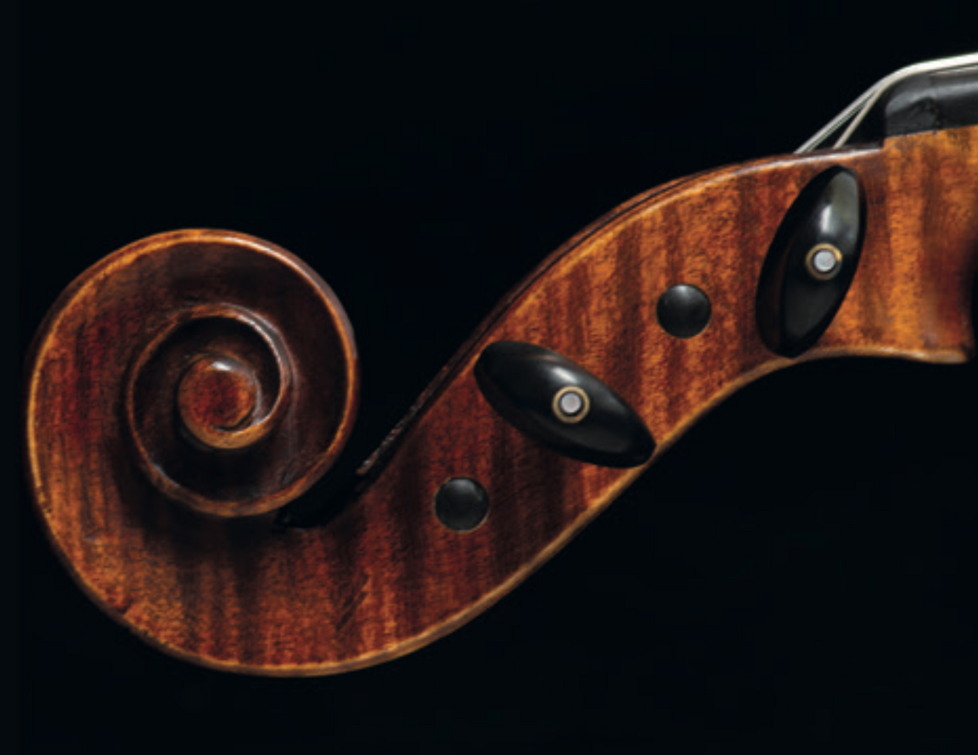 Wirbel Violine, Pariser Auge, ZW-954-MED-SET