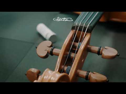 Savon Tourbillonnant Götz ZW96 Pour Violon & Alto - Lubrification Émerillons - Boîte Aluminium